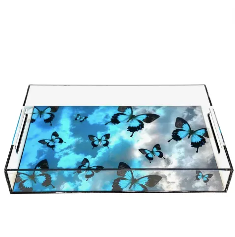 Acrylic Tray Butterflies Tray