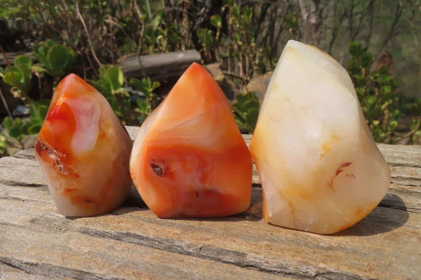 Polished Carnelian Flame Sculptures x 6 From Madagascar