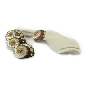 Shell Alikreukel Napkin Ring set of 6