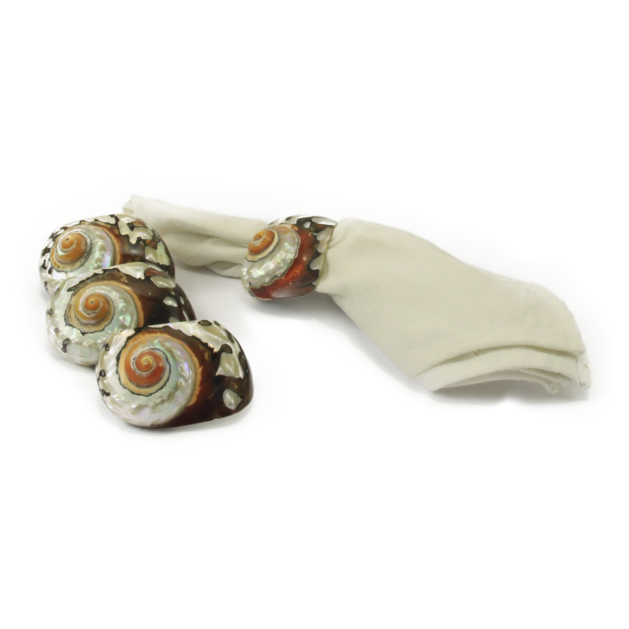 Shell Alikreukel Napkin Ring set of 6